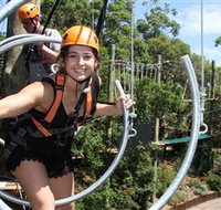 Wild Ropes at Taronga Zoo - New South Wales Tourism 