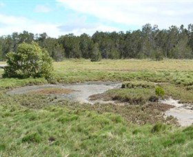Boondall Wetlands Reserve - New South Wales Tourism  1