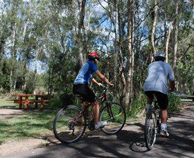 Boondall Wetlands Reserve - New South Wales Tourism  2