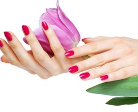 Organica Day Spa - New South Wales Tourism  2