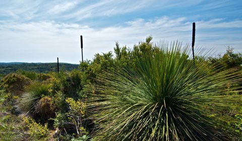 Munmorah State Conservation Area - New South Wales Tourism  1