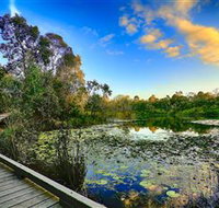 Berrinba Wetlands - New South Wales Tourism 