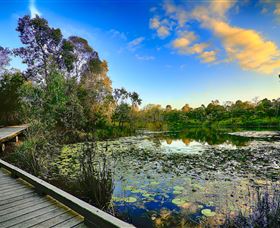 Berrinba Wetlands - New South Wales Tourism  0