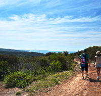 Moonee Beach trail - New South Wales Tourism 