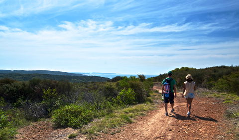 Moonee Beach Trail - New South Wales Tourism  0