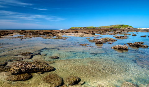 Moonee Beach Trail - New South Wales Tourism  2