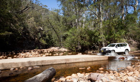 Wadbilliga Road Drive - New South Wales Tourism  2