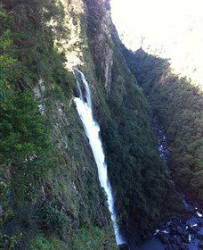 Ellenborough Falls - New South Wales Tourism  0