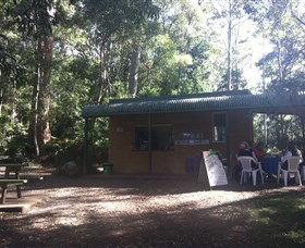 Ellenborough Falls - New South Wales Tourism  1