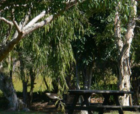 Casino NSW New South Wales Tourism 