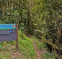 Red Cedar loop - New South Wales Tourism 