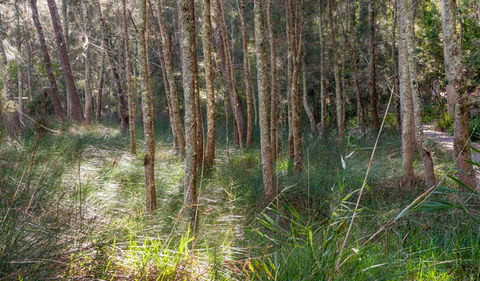 Anabranch Loop Track - New South Wales Tourism  0