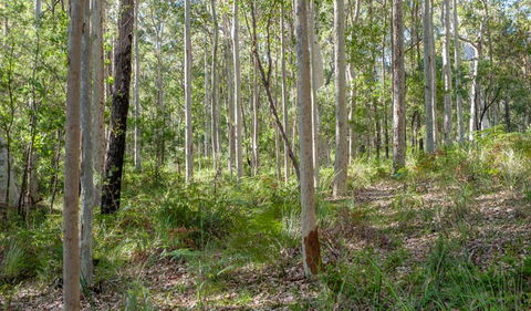 Anabranch Loop Track - New South Wales Tourism  2