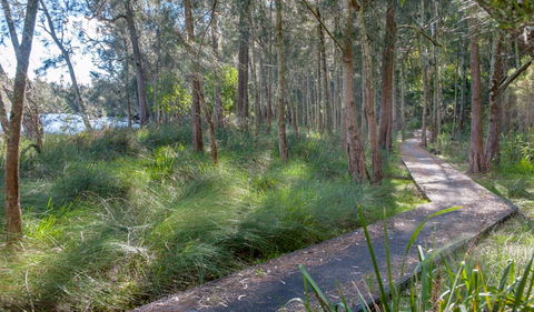 Anabranch Loop Track - New South Wales Tourism  3