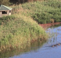 Spring Creek Bird Hide - New South Wales Tourism 