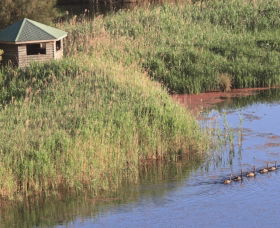 Spring Creek Bird Hide - New South Wales Tourism  0