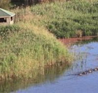 Spring Creek Wetlands Walk - New South Wales Tourism 