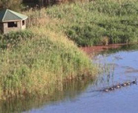Spring Creek Wetlands Walk - New South Wales Tourism  0