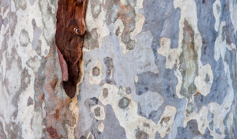 Delta Track - New South Wales Tourism  1