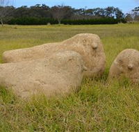 Unreal Rocks Statue Gallery - New South Wales Tourism 