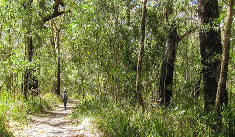 Seven Mile Beach National Park - New South Wales Tourism  2