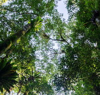 Botanic walk - New South Wales Tourism 