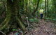 Botanic Walk - thumb 3