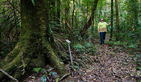 Botanic Walk - New South Wales Tourism  3