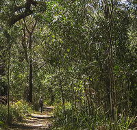 Sand track walk south - New South Wales Tourism 