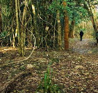 Sand track walk north - New South Wales Tourism 