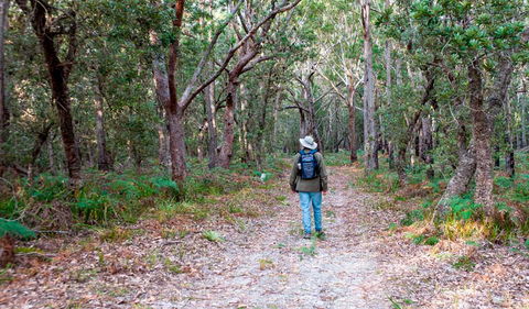 Narrawallee Inlet Walking Track - New South Wales Tourism  1