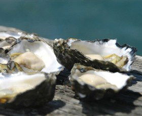 Jim Wilds Oyster Service - New South Wales Tourism  0