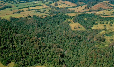Boorganna Nature Reserve - New South Wales Tourism  0
