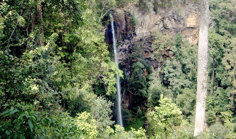 Boorganna Nature Reserve - New South Wales Tourism  2