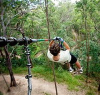 TreeTop Challenge - New South Wales Tourism 