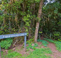 Falcorostrum loop walking track - New South Wales Tourism 