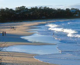Mollymook Beach - New South Wales Tourism  1