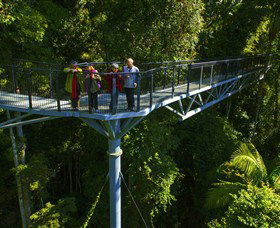 Tamborine Rainforest Skywalk - New South Wales Tourism  1
