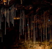Tamborine Mountain Glow Worm Caves - New South Wales Tourism 