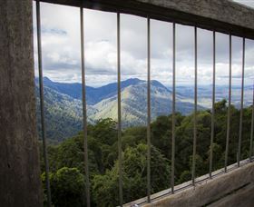 Dorrigo Rainforest Centre - New South Wales Tourism  0