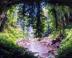Dorrigo Rainforest Centre - New South Wales Tourism  1