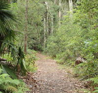 Lake walking track - New South Wales Tourism 