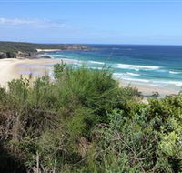 South Pacific Heathland Reserve - New South Wales Tourism 