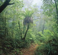 Wagawn - New South Wales Tourism 