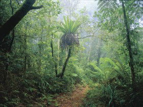 Wagawn - New South Wales Tourism  0