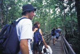 Wagawn - New South Wales Tourism  1