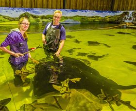 Irukandji Shark And Ray Encounters - New South Wales Tourism  3