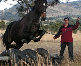 Kings Creek Saddle Club - New South Wales Tourism  5