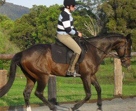 Kings Creek Saddle Club - New South Wales Tourism  6