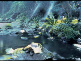 Coomera Circuit - New South Wales Tourism  0